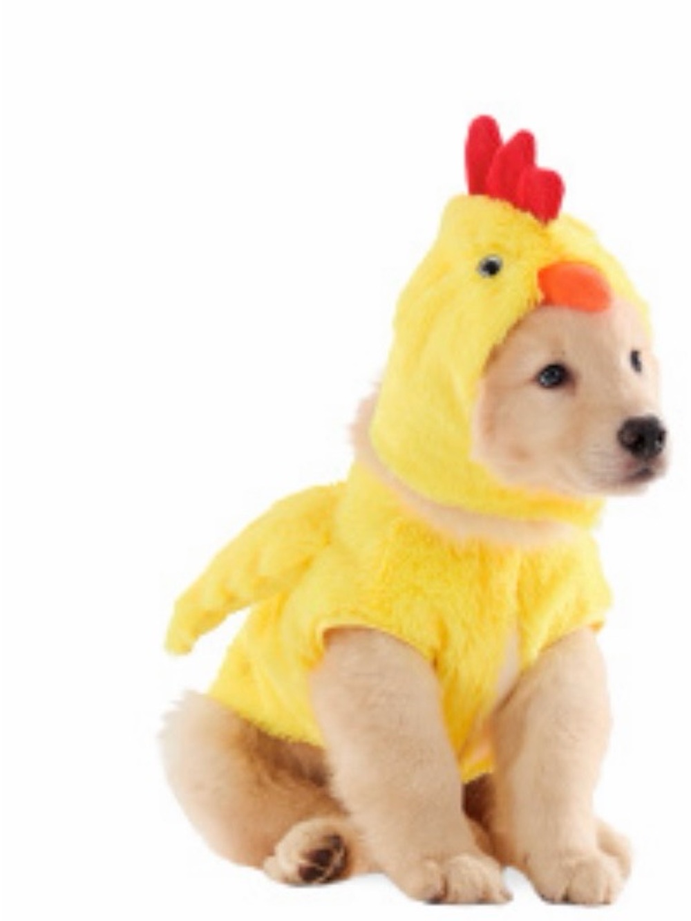 Yellow Plush Chicken Dog Costume for Pets